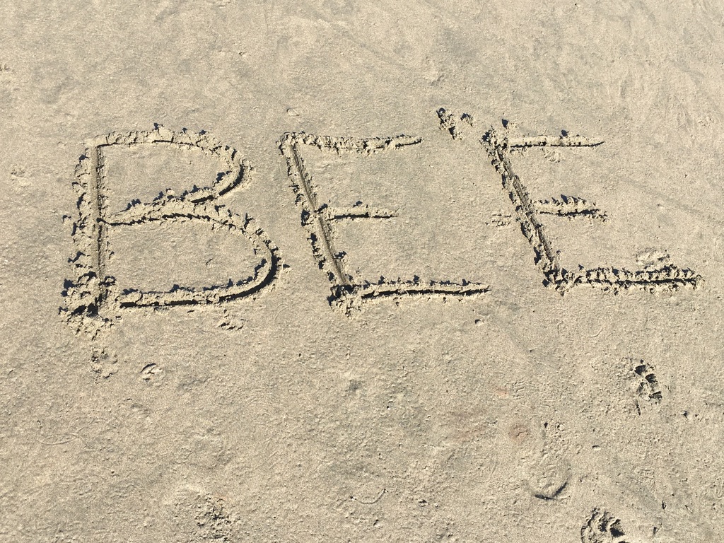 BEE in the sand